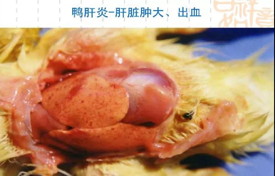 微信图片_20190726160454.jpg
