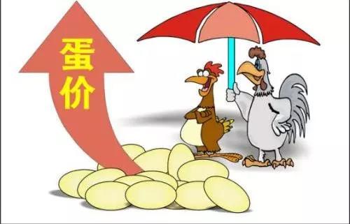微信图片_20190802144306.jpg