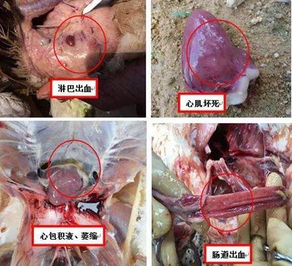 微信图片_20190830091331.jpg
