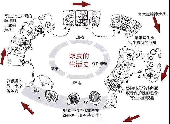 微信图片_20190909151300.jpg