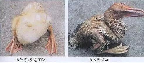 微信图片_20190918102450.jpg
