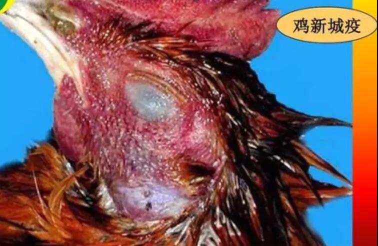 微信图片_20191030171259.jpg
