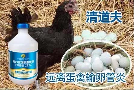 微信图片_20191104090947.jpg