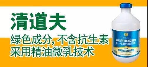 微信图片_20191104091001.jpg