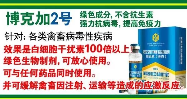 微信图片_20191112093257.jpg