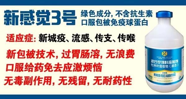 微信图片_20191125083901.jpg