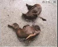 微信图片_20200808093122.jpg
