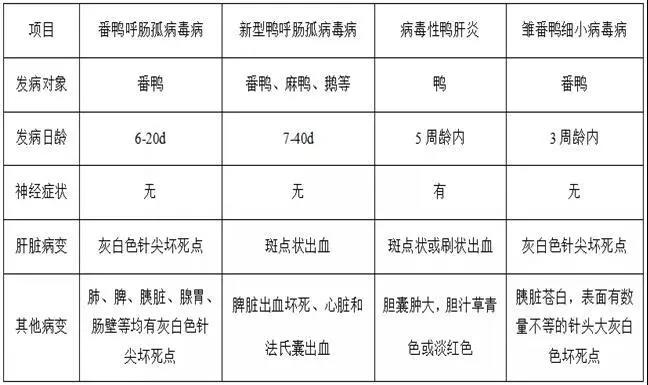微信图片_20201217085331.jpg