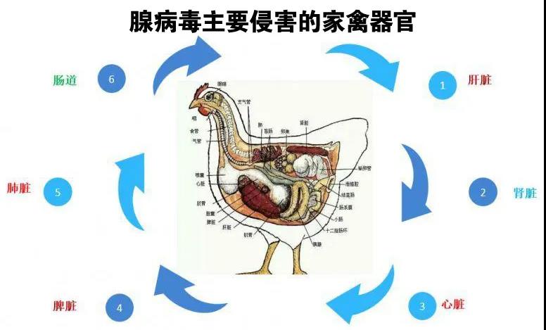 微信图片_20210331111626.jpg