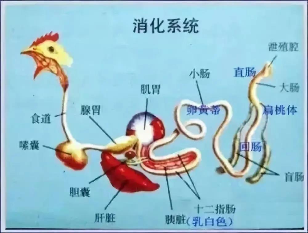 微信图片_20210505092456.jpg