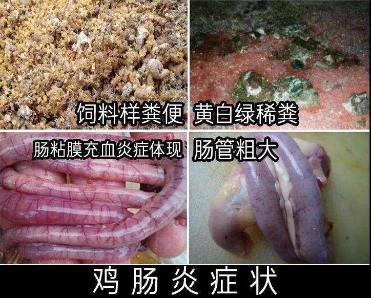 微信图片_20210517153535.jpg
